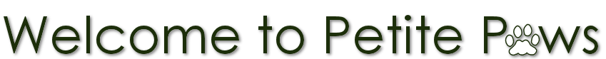 logo2